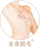 全身脱毛